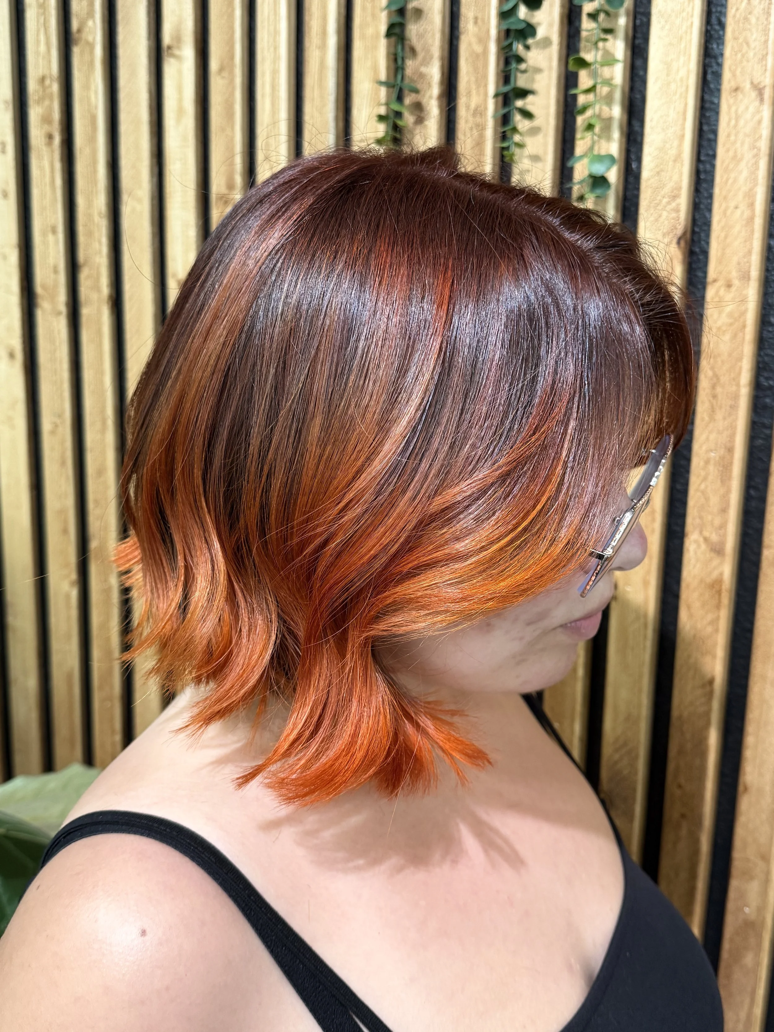 Vivids / Fashion Colors