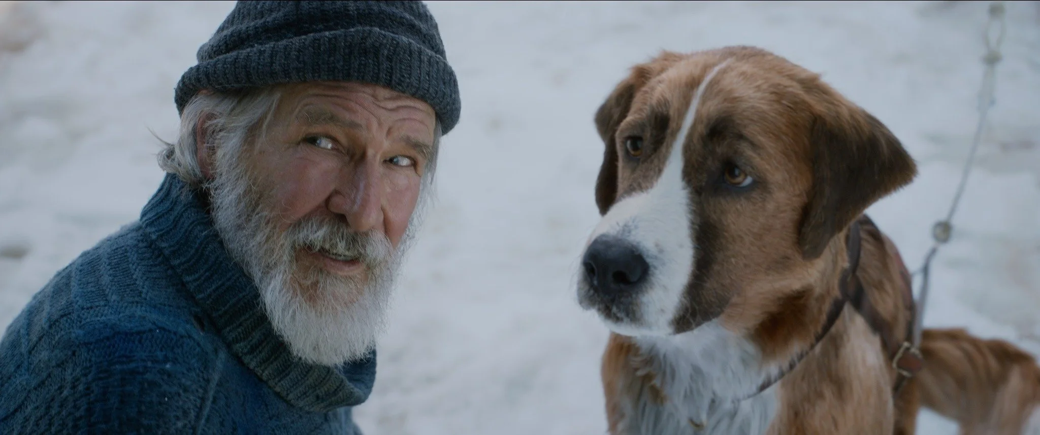 An elderly man with a gray beard and wearing a beanie and thick sweater is next to a brown and white dog with blue eyes in a snowy landscape.