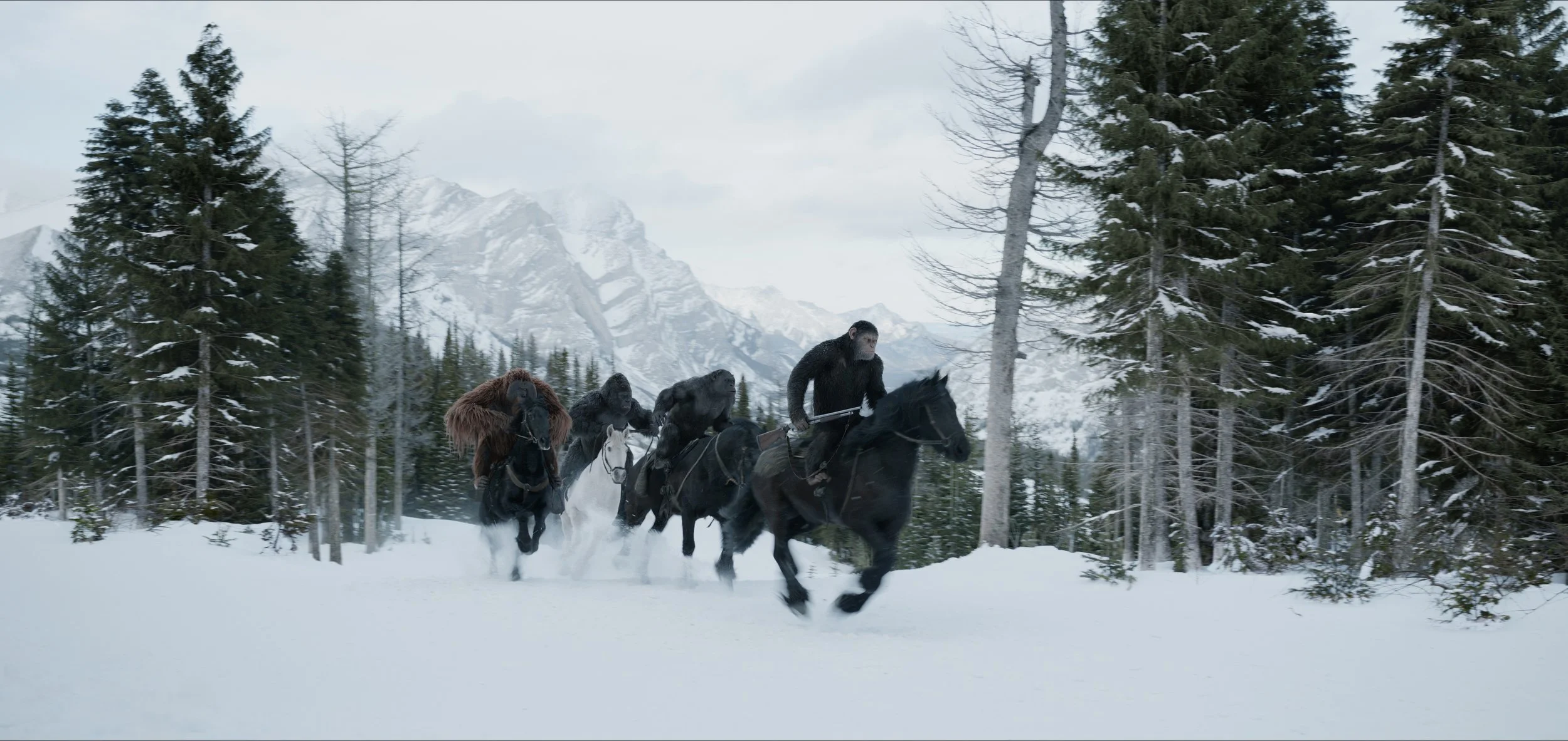 A group of five apes, including a bearded one, riding horses through a snow-covered forest with mountains in the background.