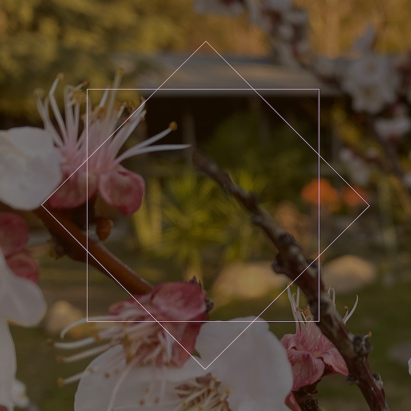 IMAGE OF A HEALING SPACE