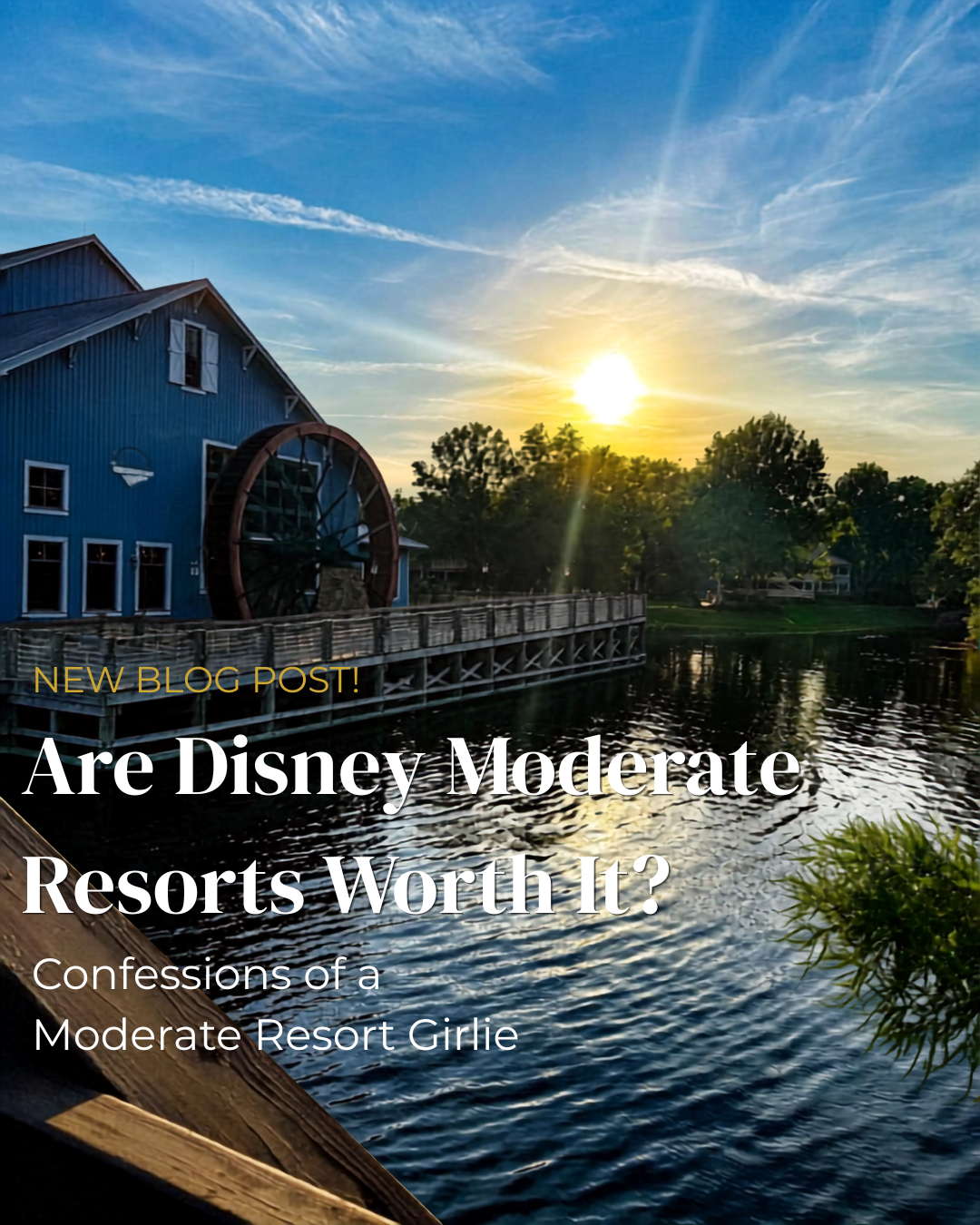How Our Family Fell in Love with the Moderate Category