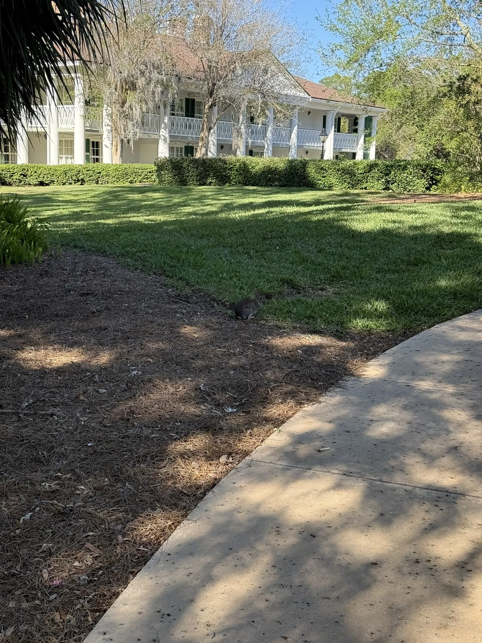 IMG_6084.JPEG