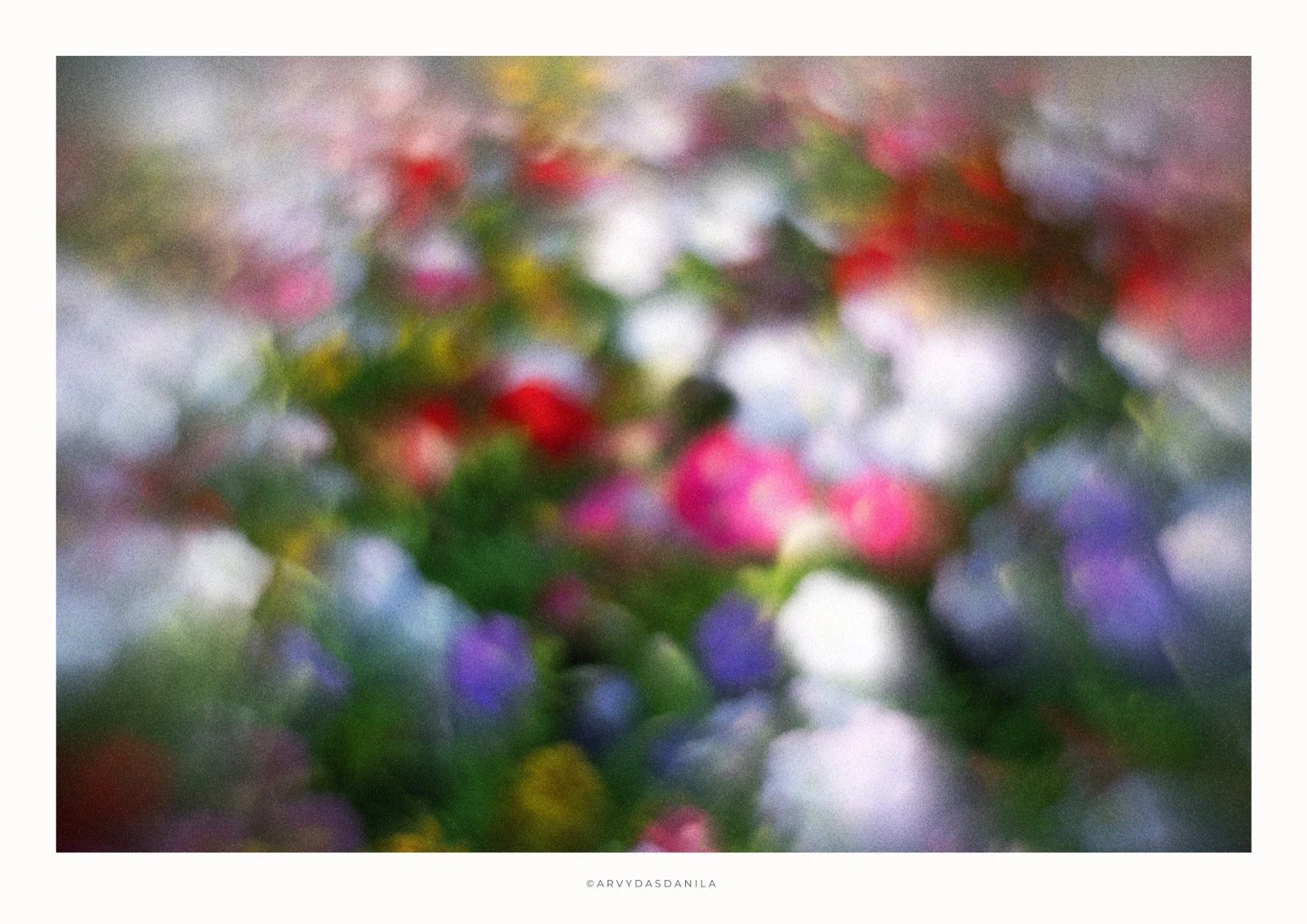 ART0190_FLORA10.jpg