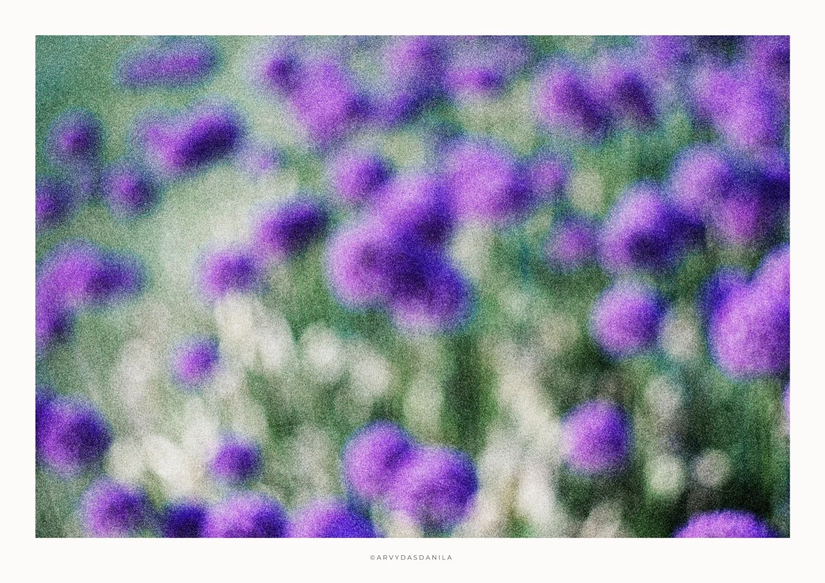 ART0219_FLORA39.jpg