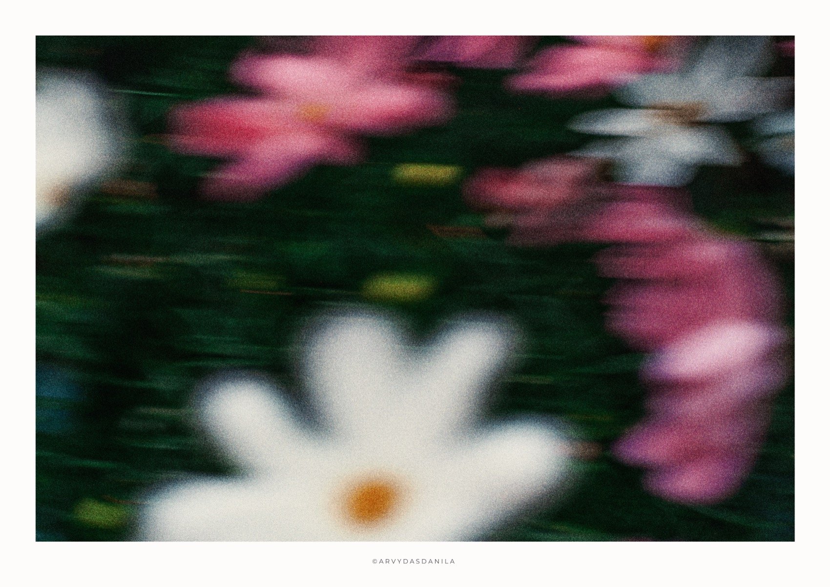 ART0185_FLORA05.jpg