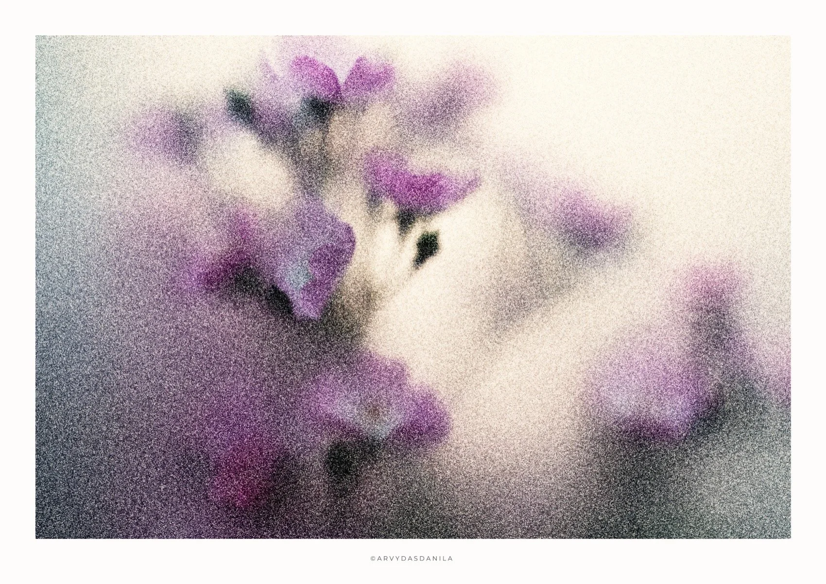 ART0209_FLORA29.jpg