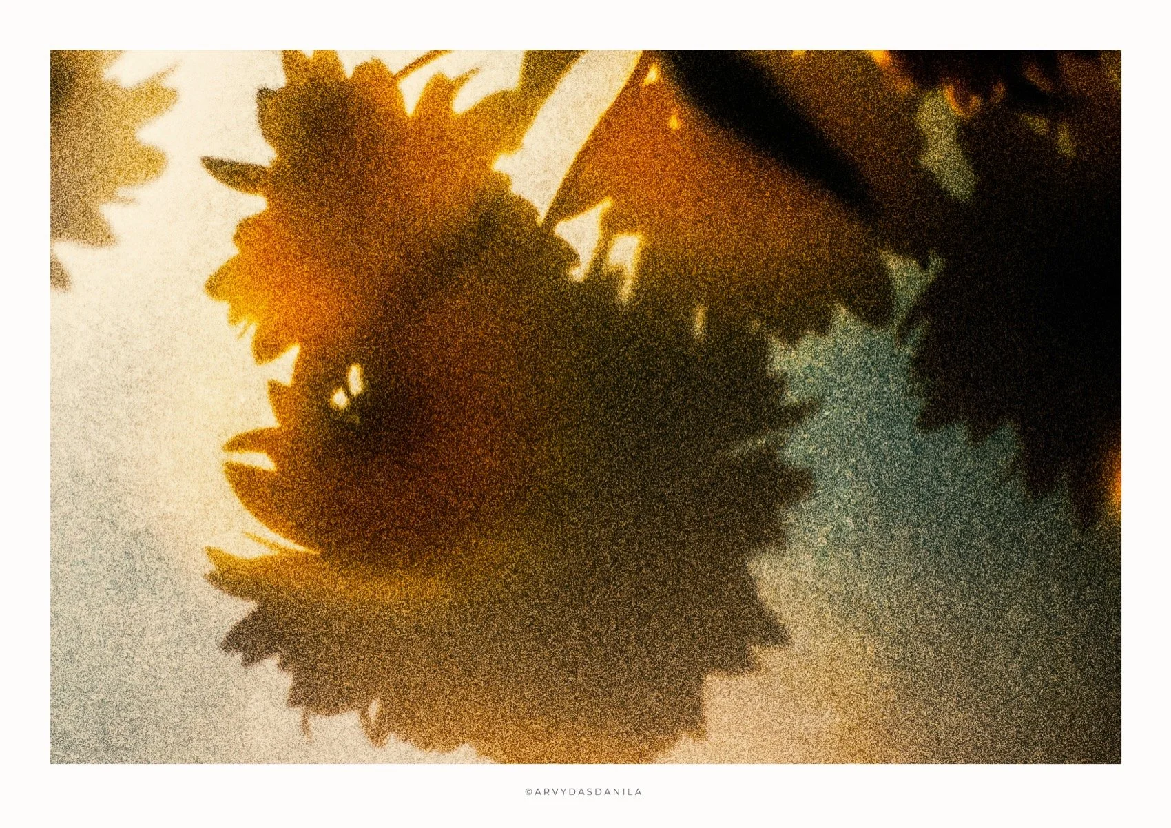 ART0206_FLORA26.jpg