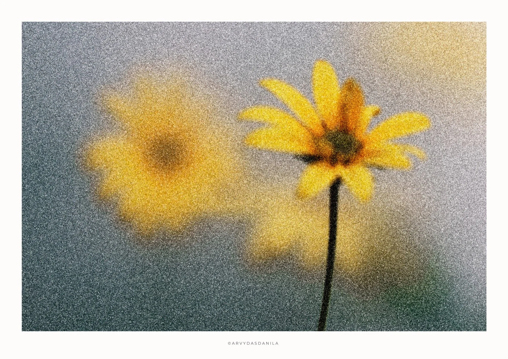ART0207_FLORA27.jpg