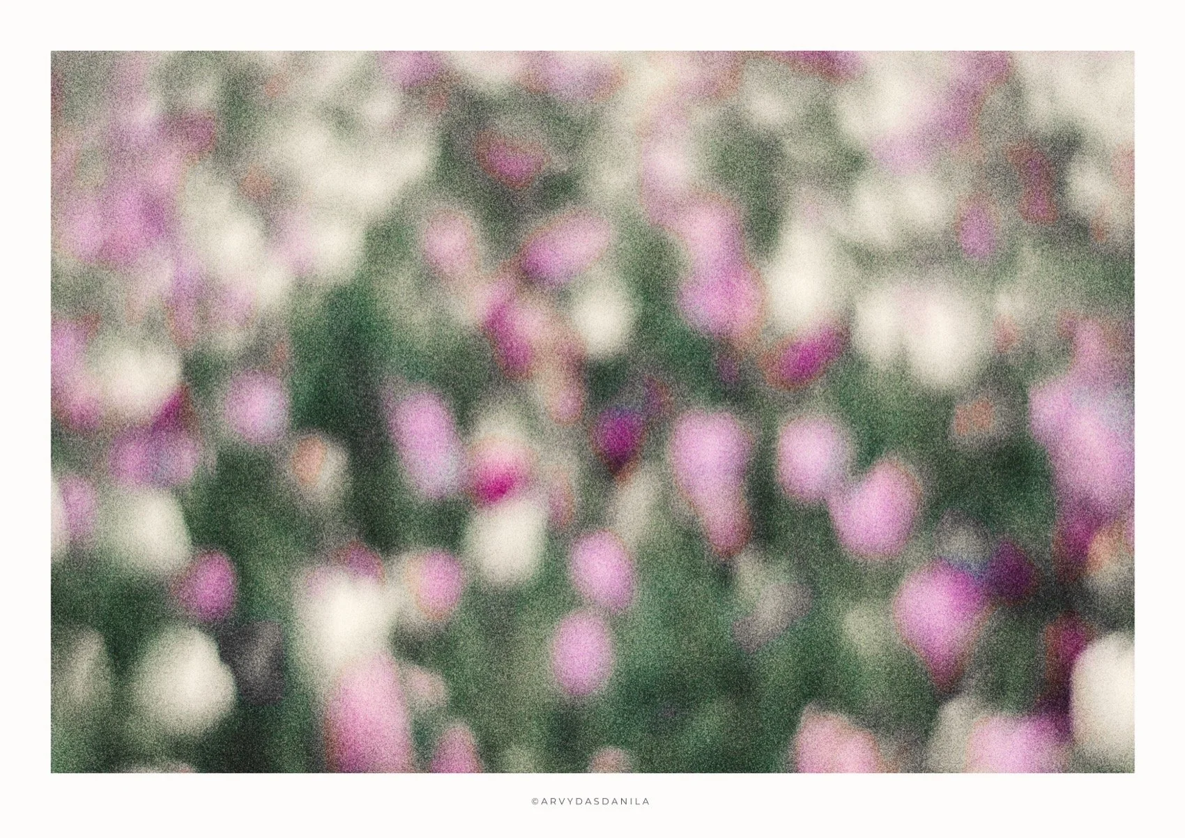 ART0181_FLORA01.jpg