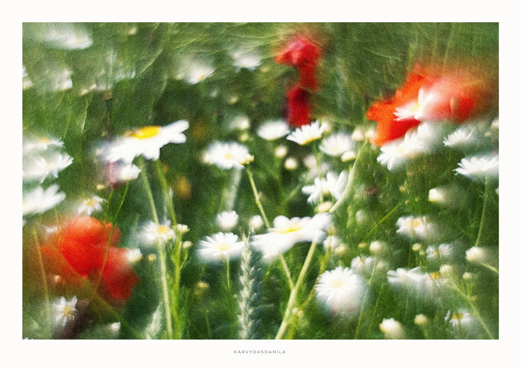 ART0196_FLORA16.jpg