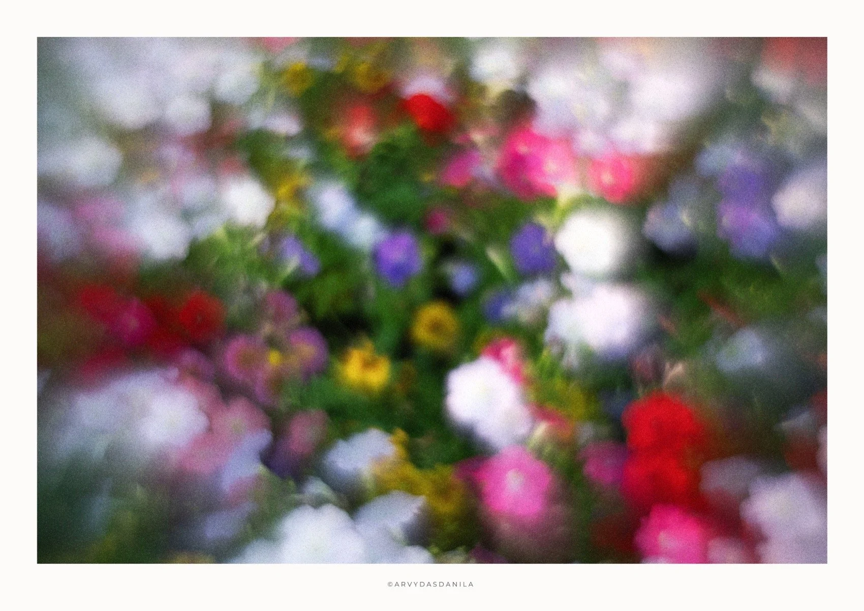 ART0191_FLORA11.jpg