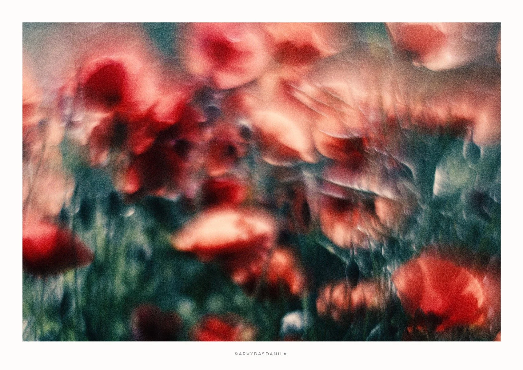 ART0192_FLORA12.jpg