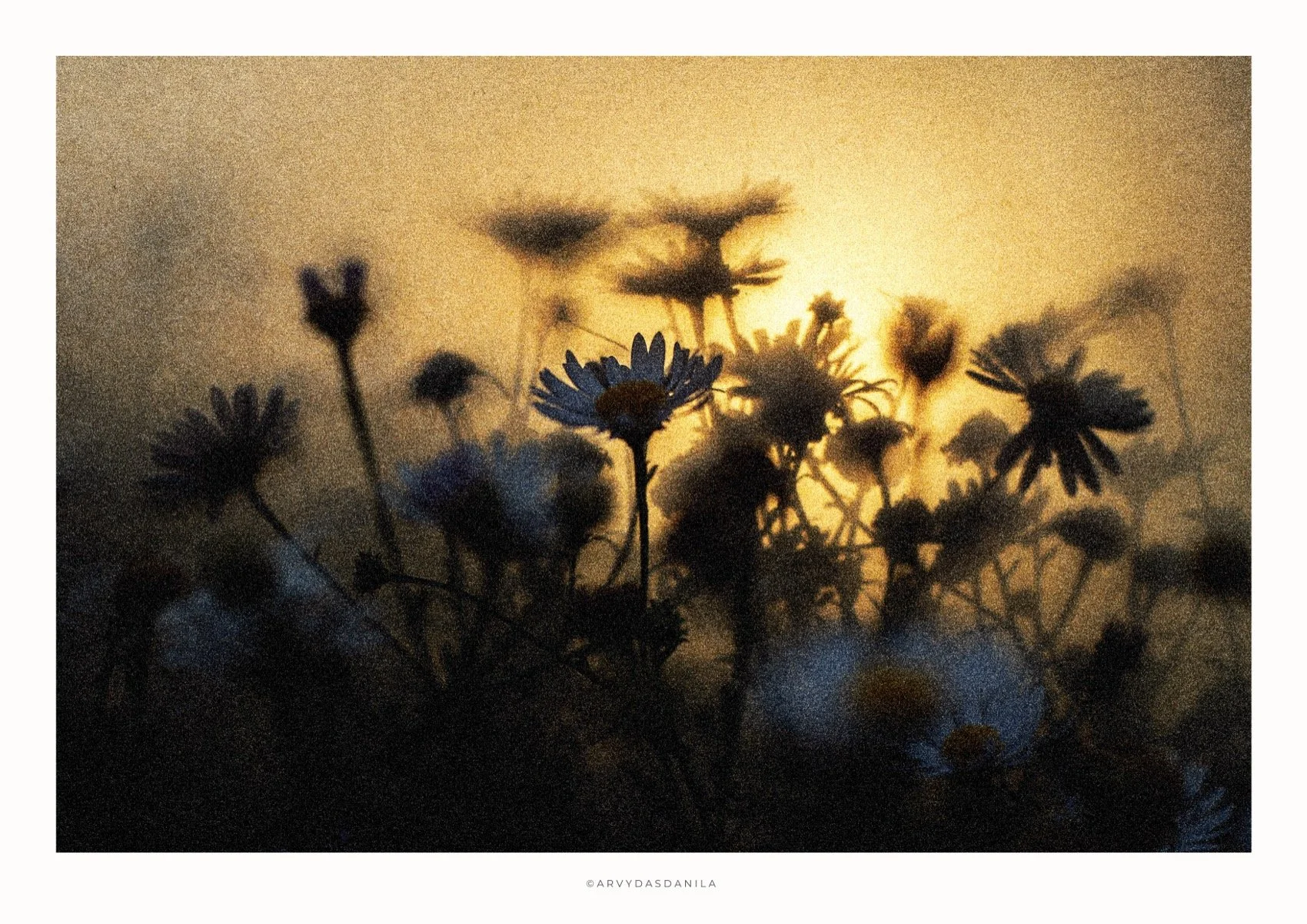 ART0216_FLORA36.jpg