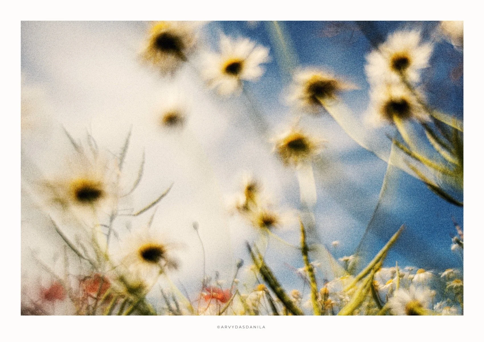 ART0197_FLORA17.jpg