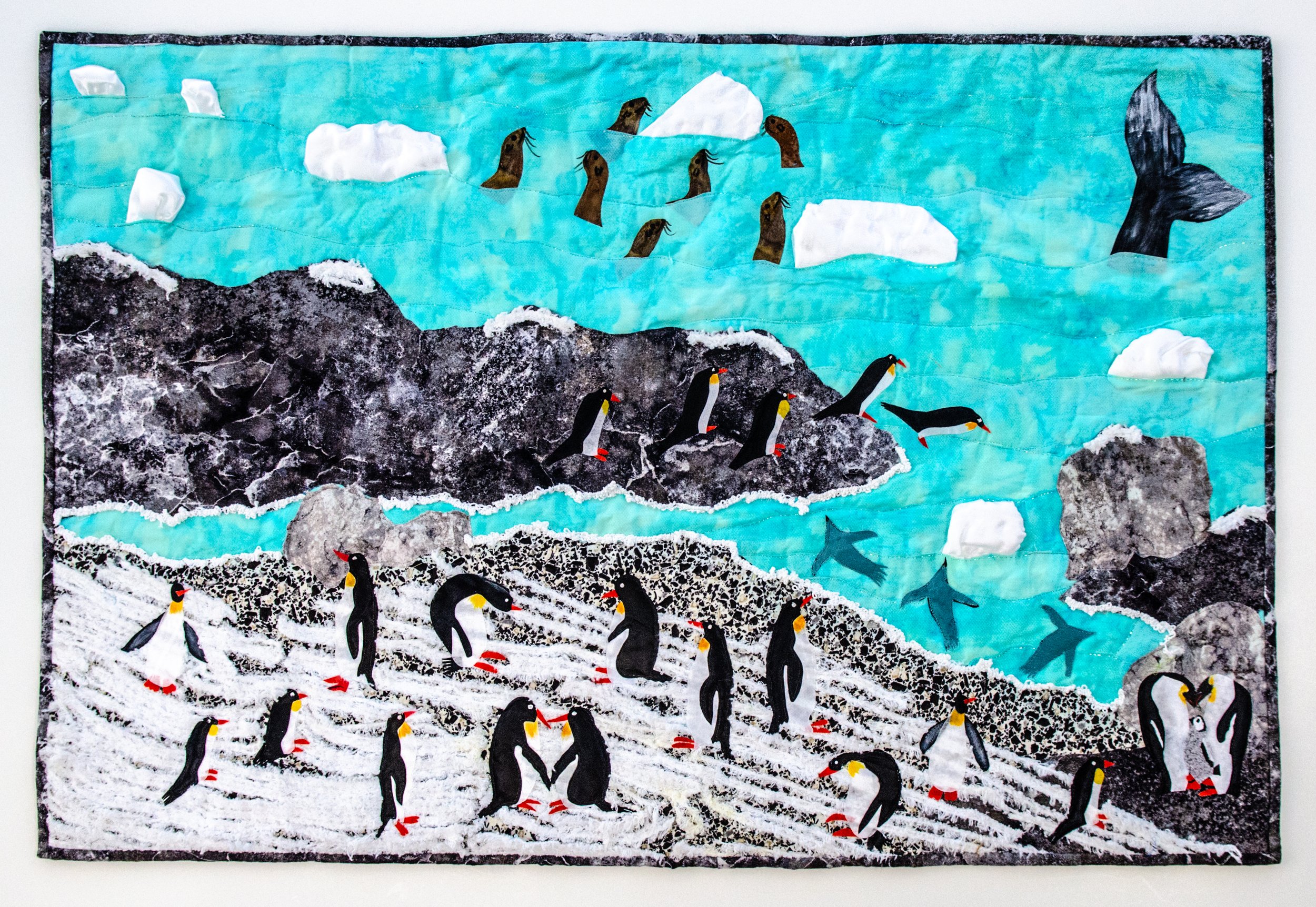 Valles - Antartica Beach Life