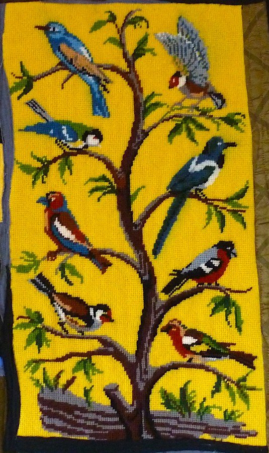 Birds - Feather