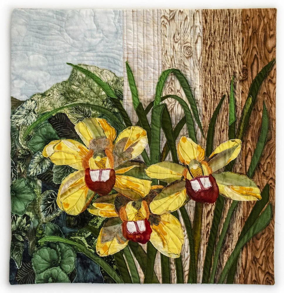 Zgliniec - Orchids On My Patio