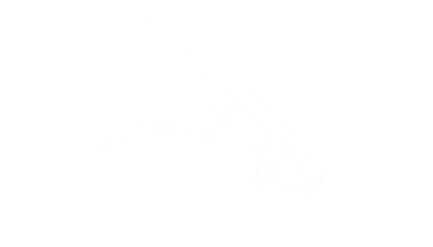 Almaha 