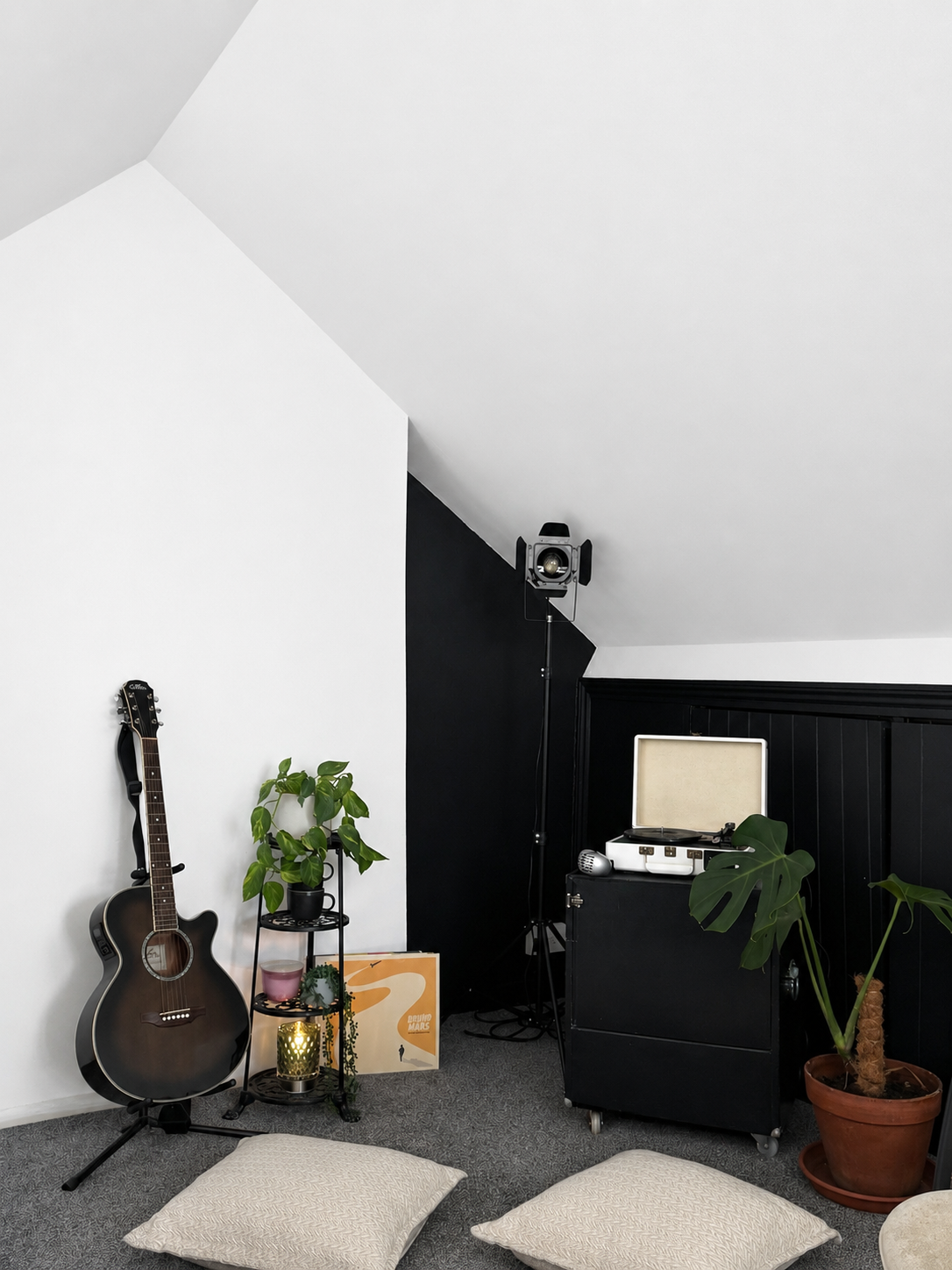 Interior of a music room with a black and white color scheme, featuring a guitar, potted plants, a record player, and a speaker.