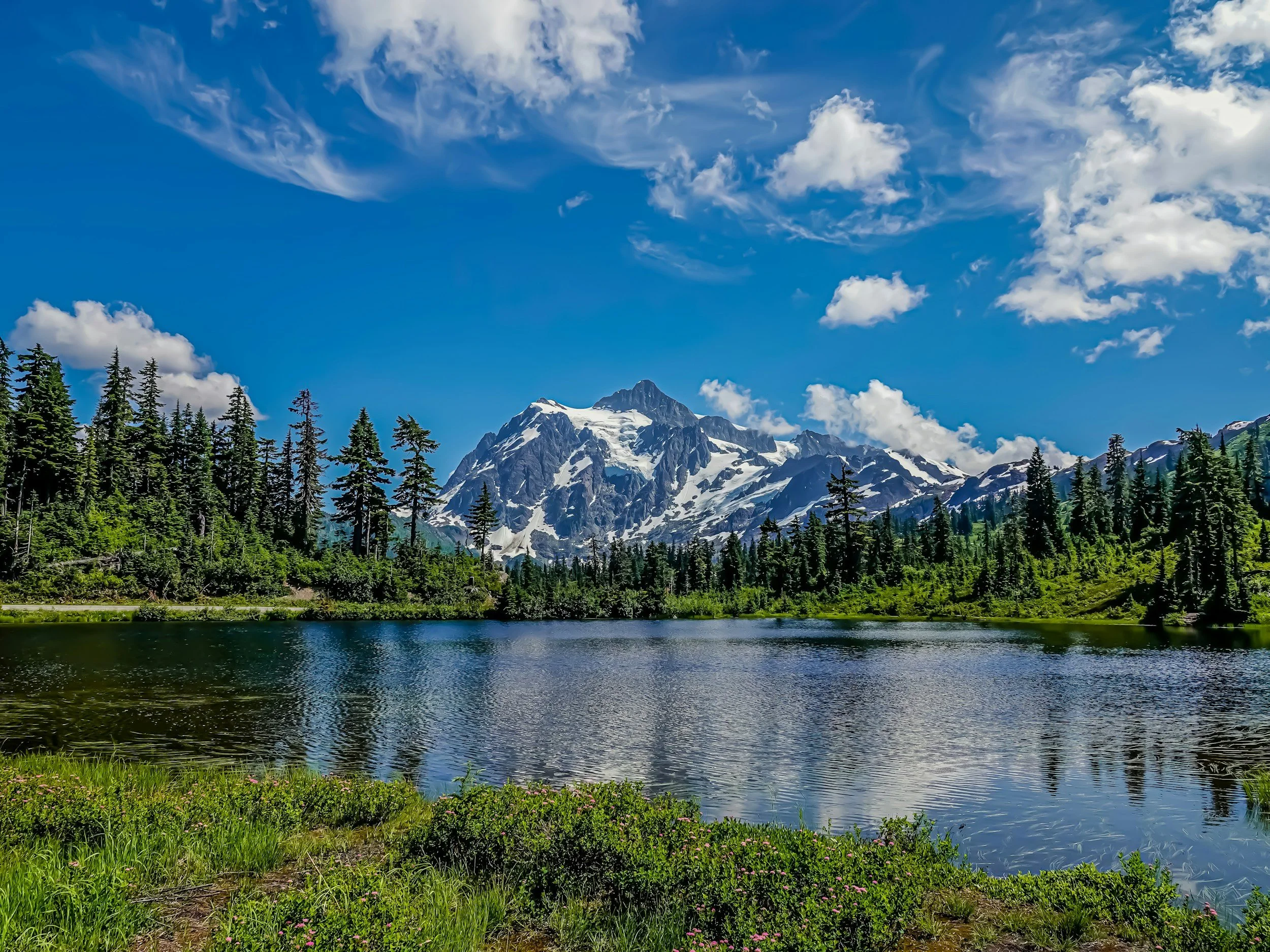 A mountain landscape featuring snow-capped peaks, a forest of evergreen trees, and a calm lake in the foreground on a clear day with a blue sky and some white clouds. Mount Baker ski resort.