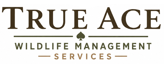 True Ace Wildlife Management Services
