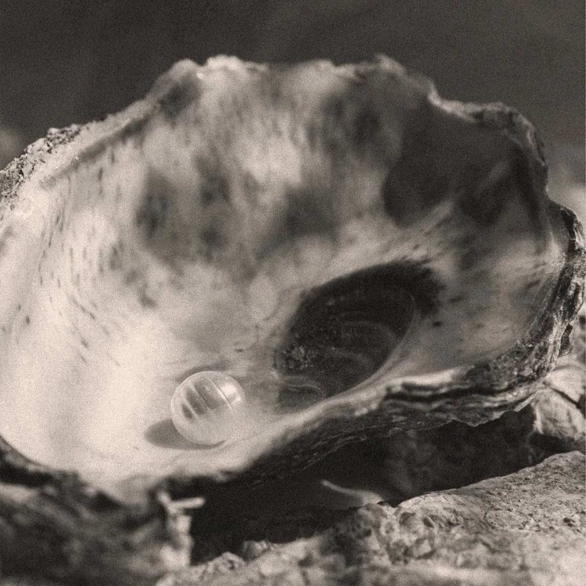 Pearl– What’s in a Name?