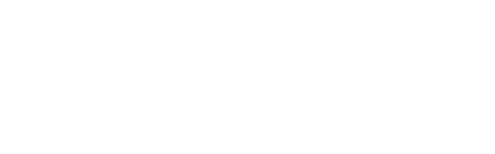 g2993 copy.png
