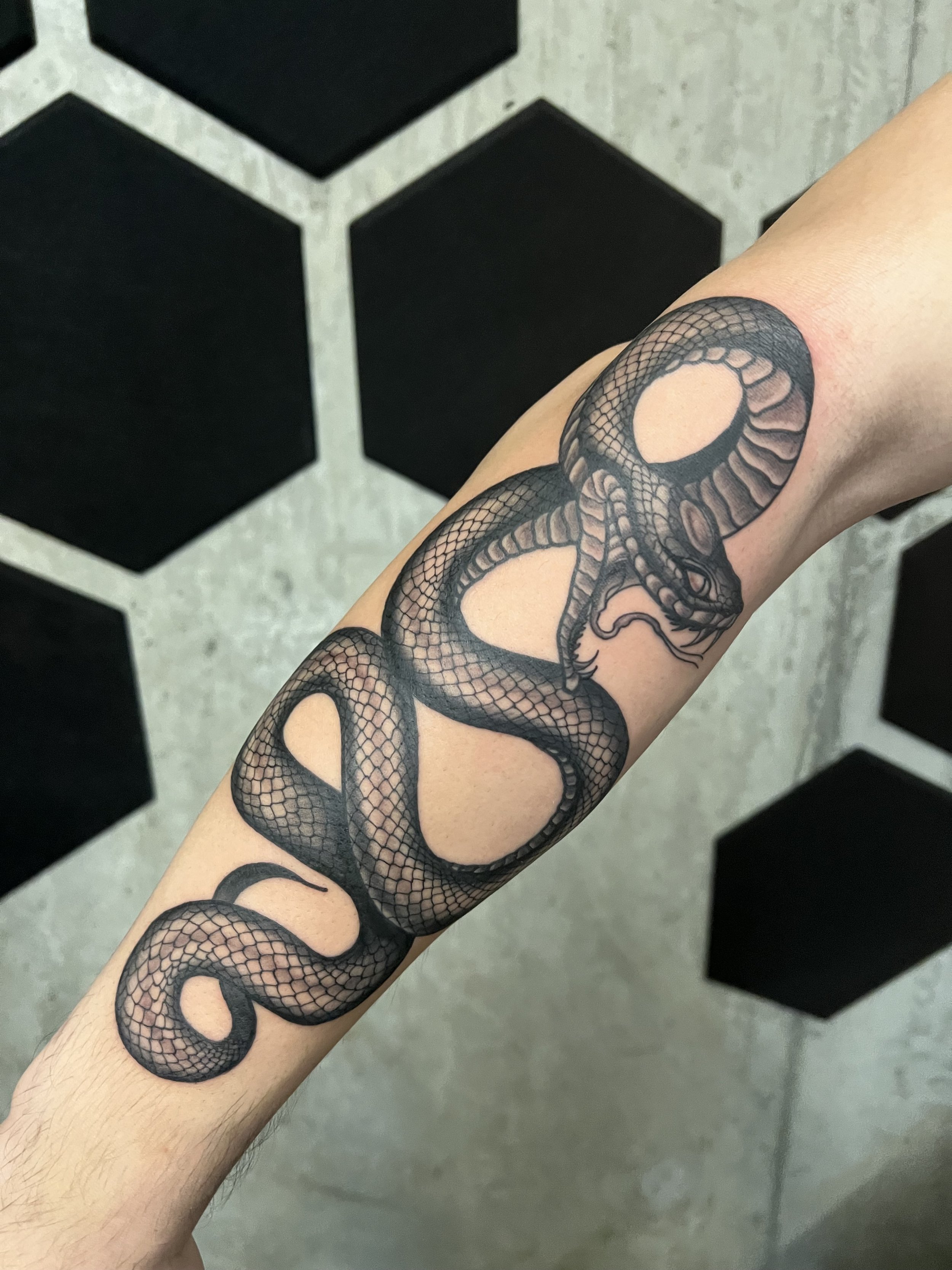 Tattoo of a black snake with detailed scales, coiled around a person's forearm, with the snake's head near the wrist.