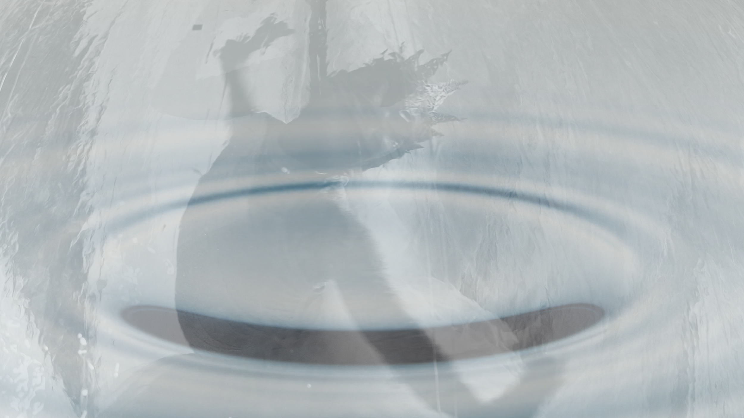 He and ripple.png