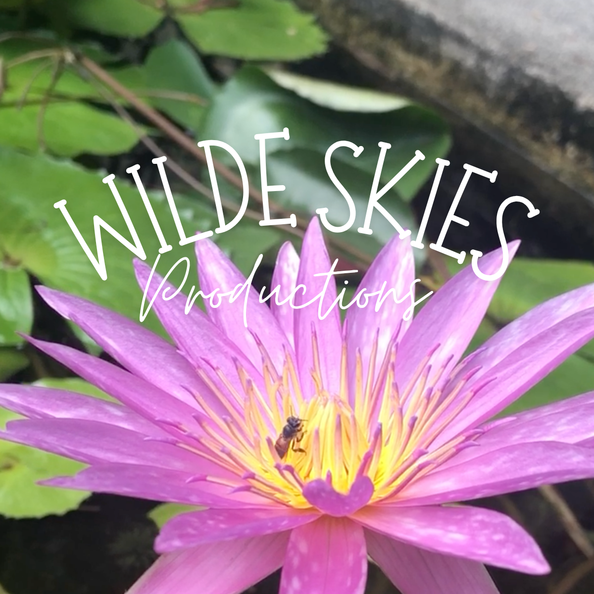 Wilde Skies