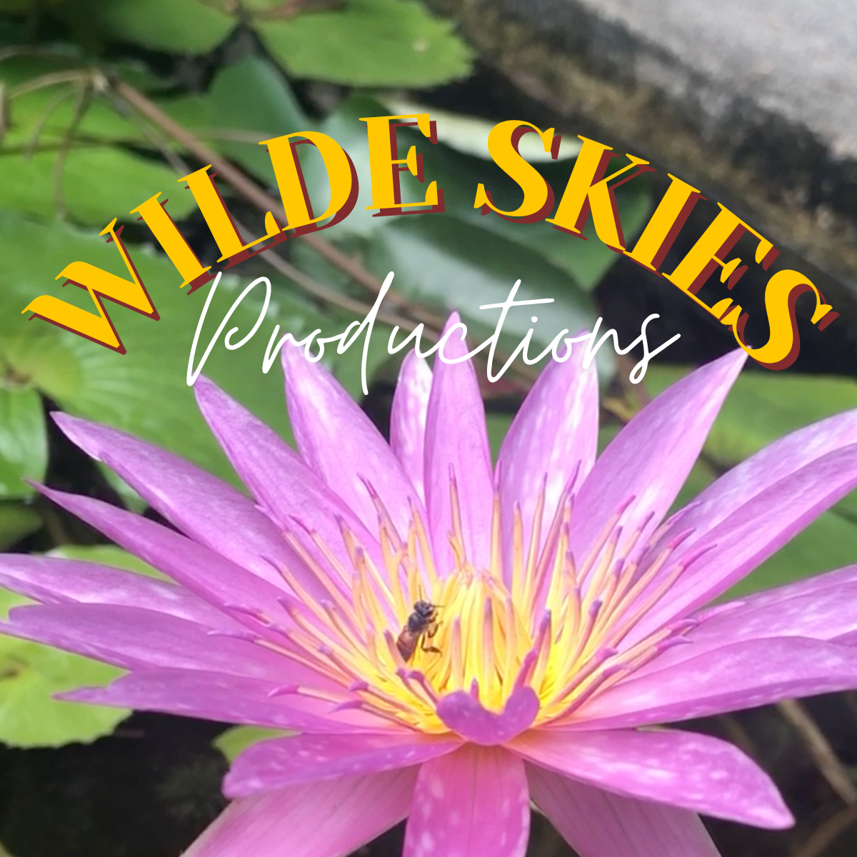 Wilde Skies