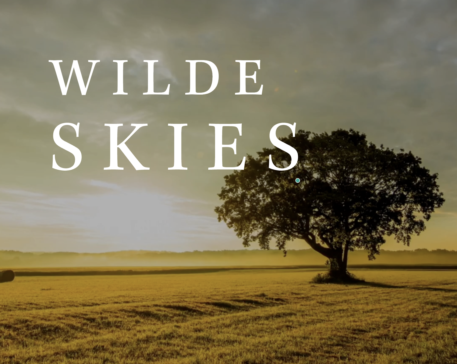 Wilde Skies