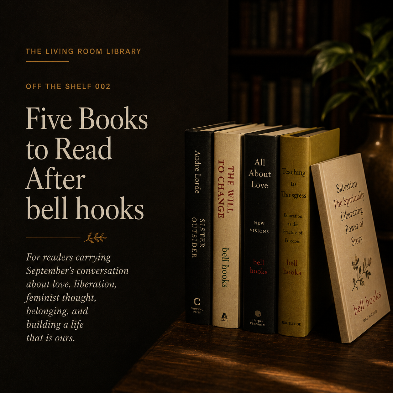 Where to Begin with bell hooks