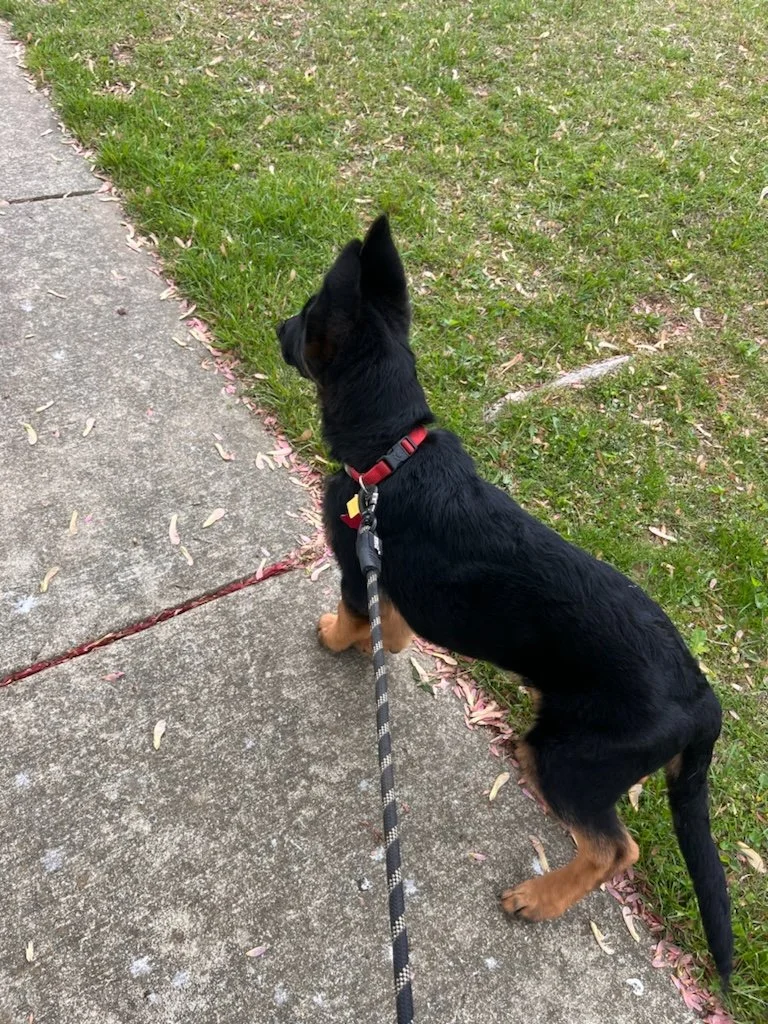 1 Hour Walk