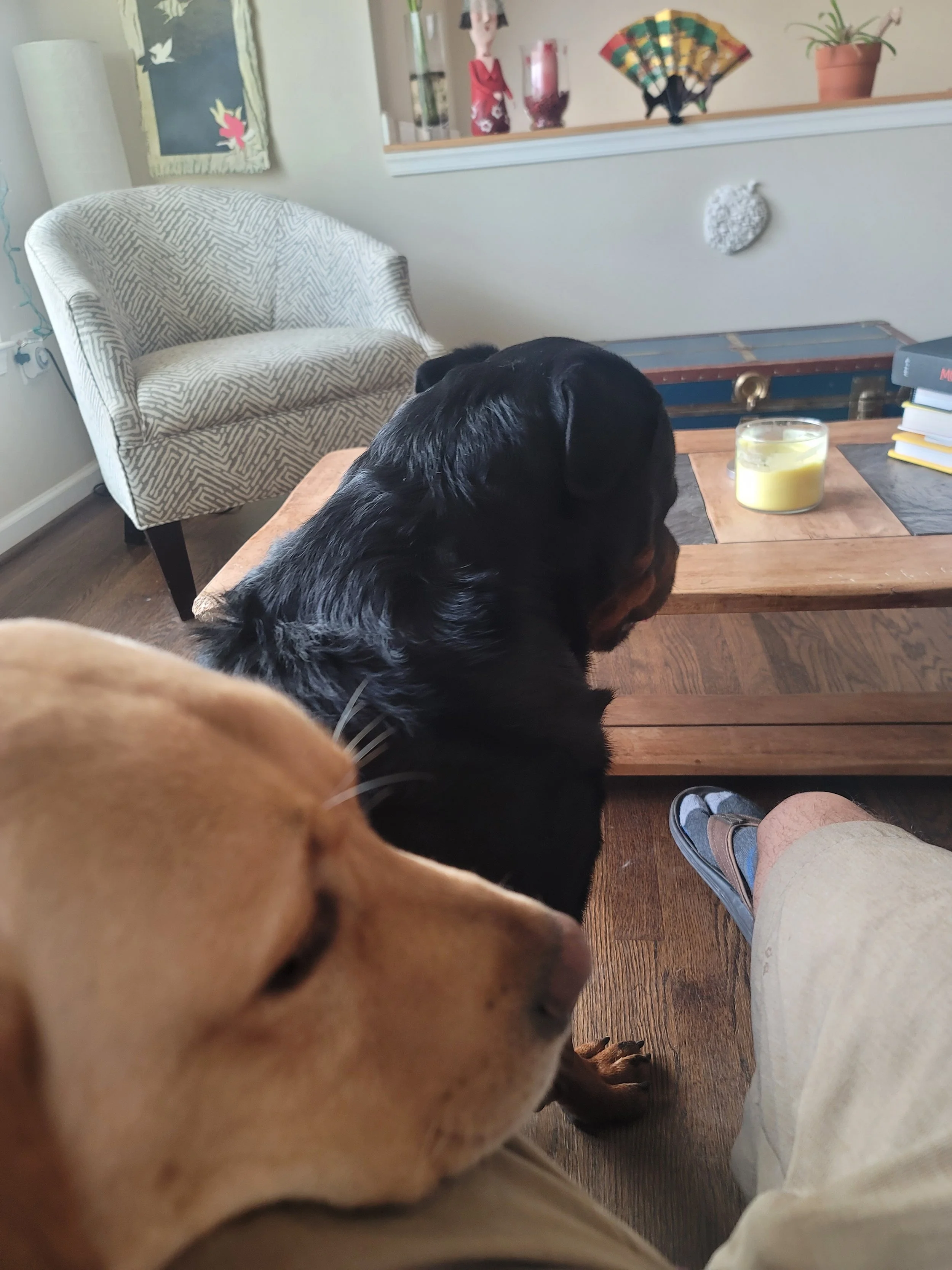 20230111_112715.jpg