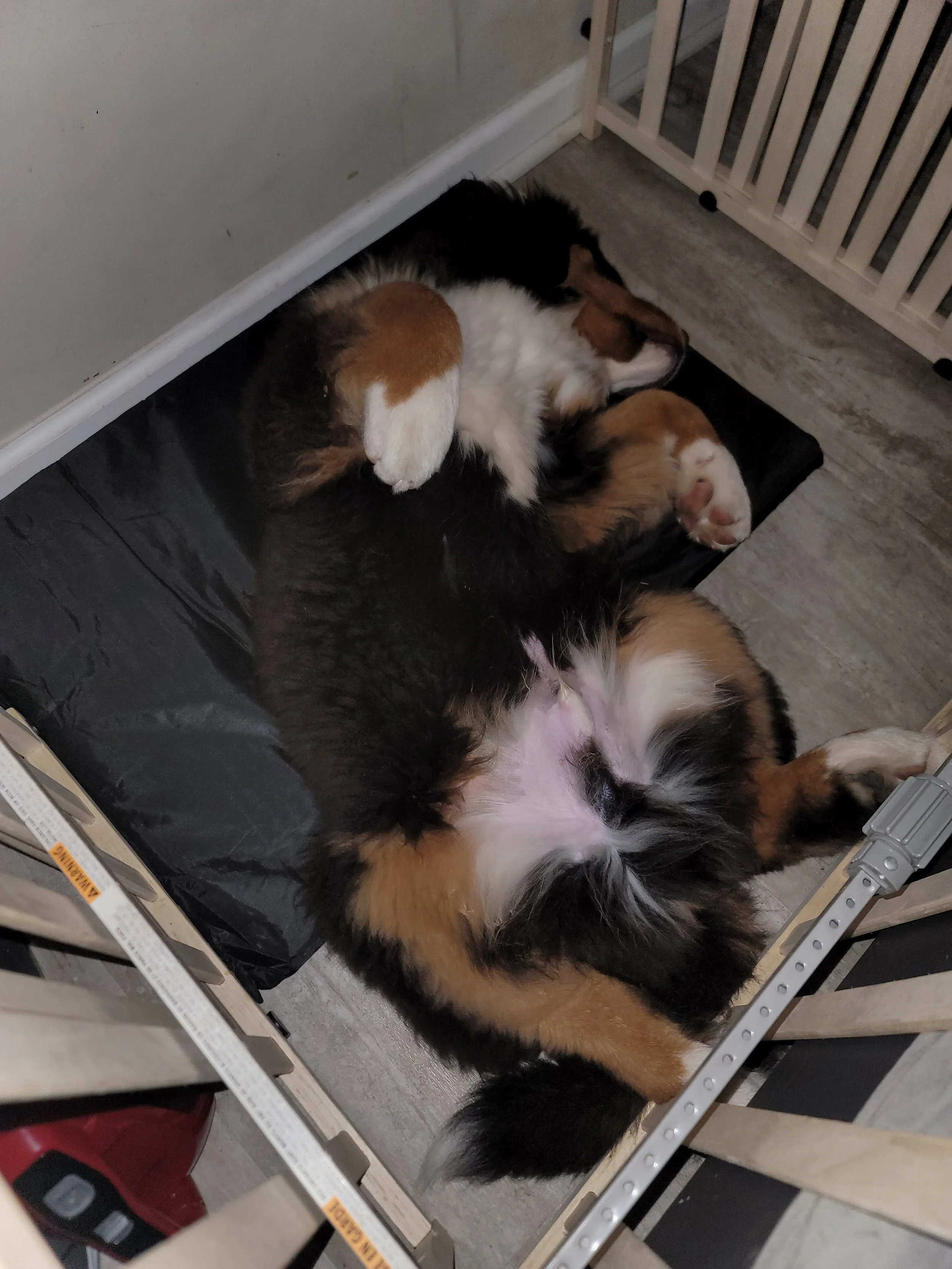 20220917_232830 - Copy.jpg