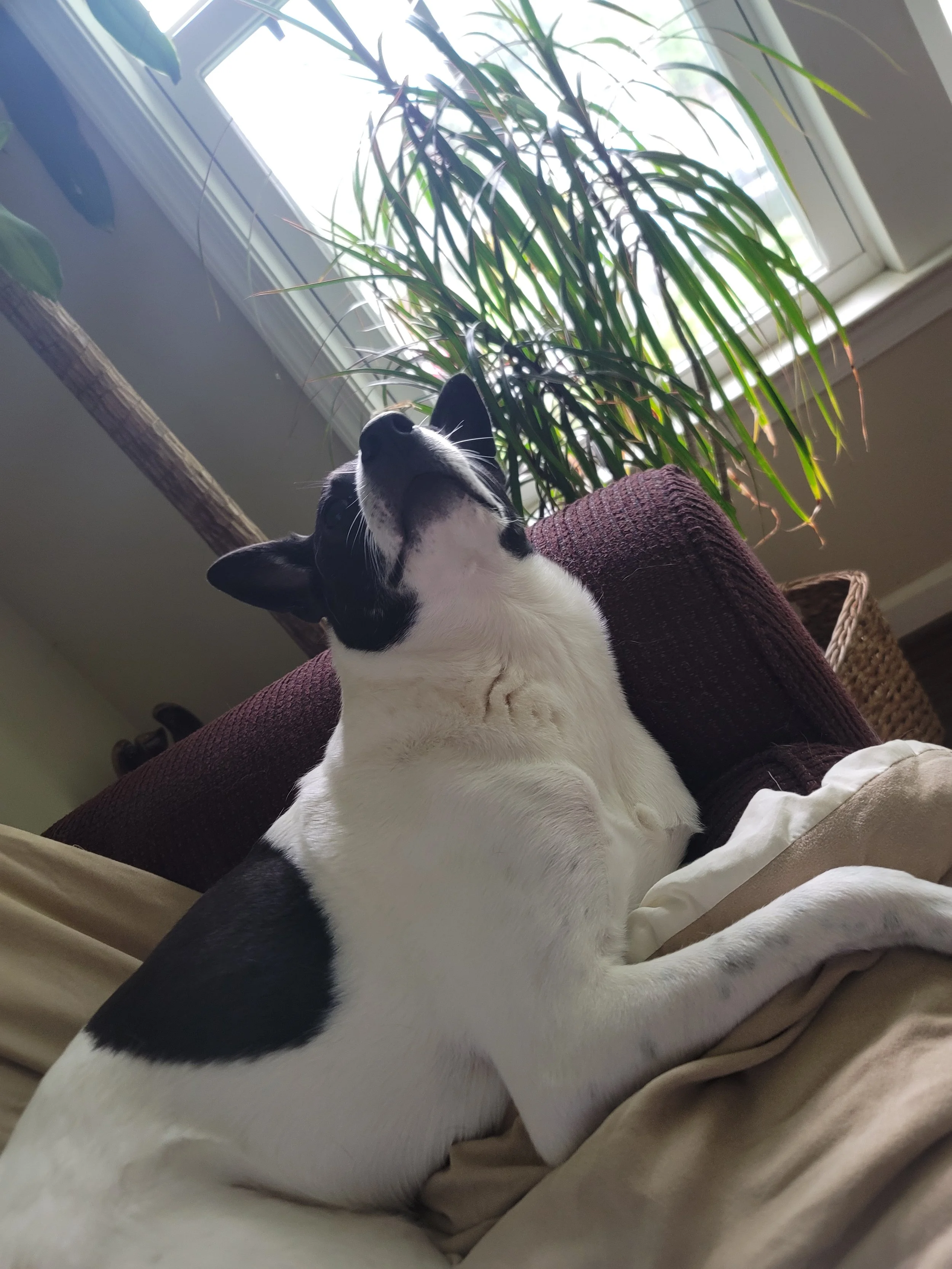 20220709_162759 - Copy.jpg