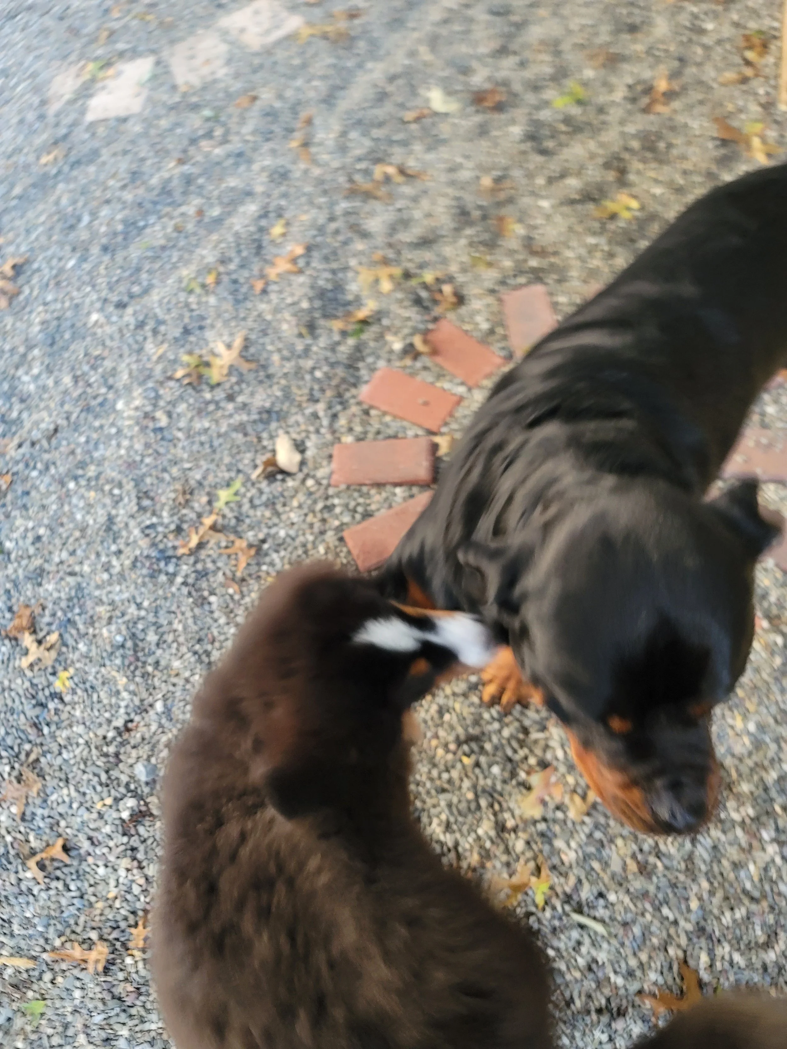 20220917_184237.jpg