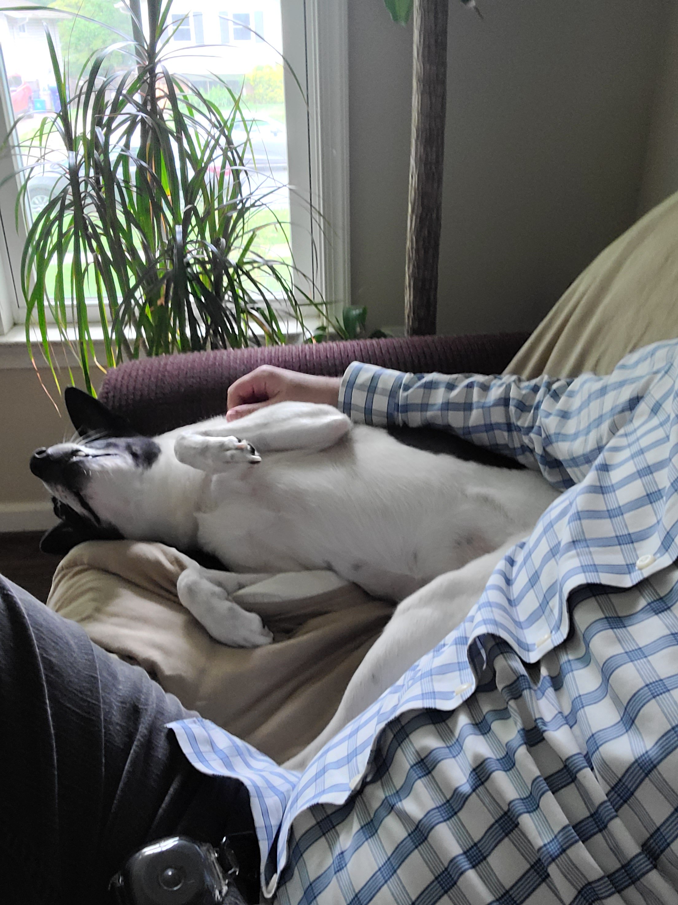 20220709_162527 - Copy.jpg