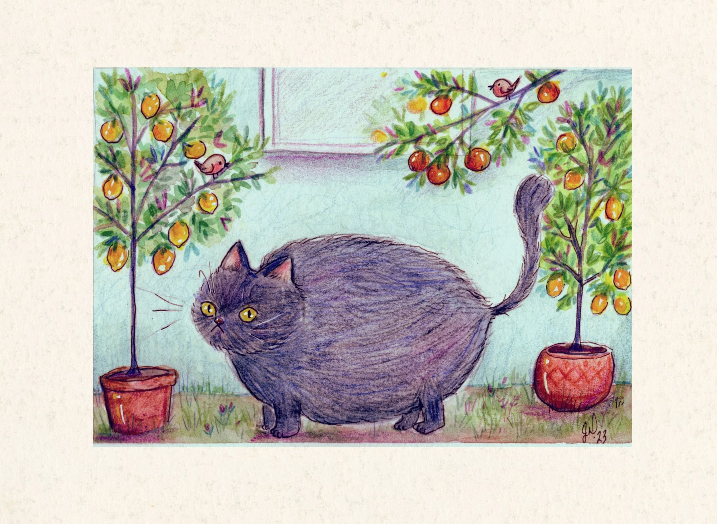 A colorful hand-drawn illustration of a gray cat with yellow eyes standing on grass between two potted orange trees with ripe fruit, with a window in the background.
