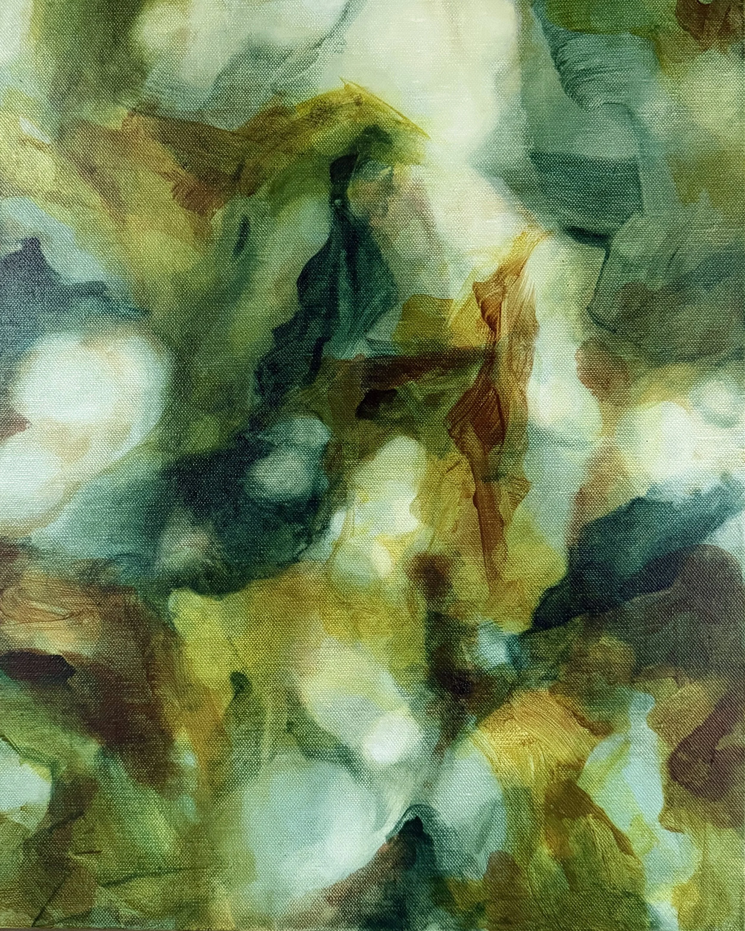 Among the Mangroves