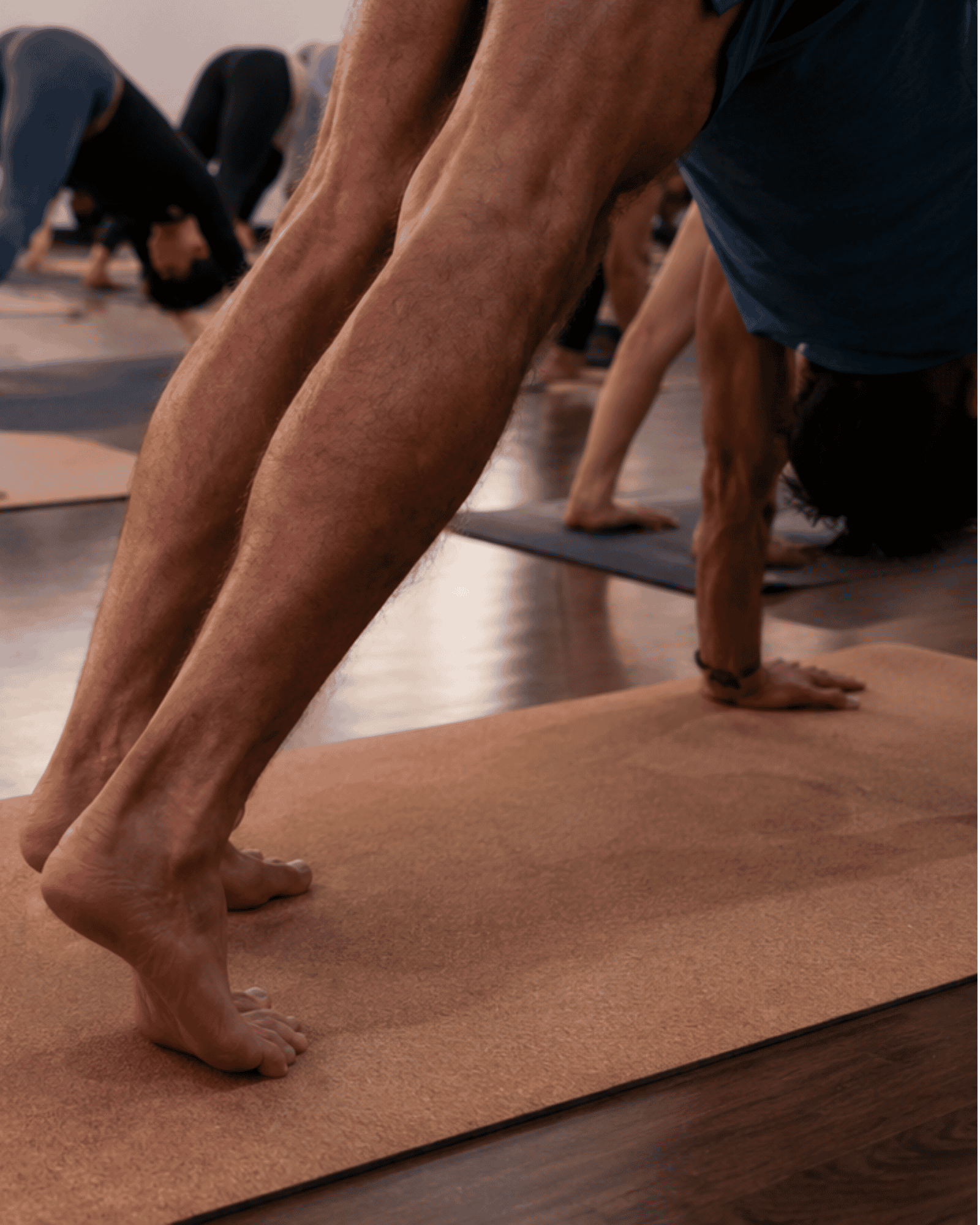 People are practicing at yoga pod tucson, all in a downward dog pose on yoga mats.