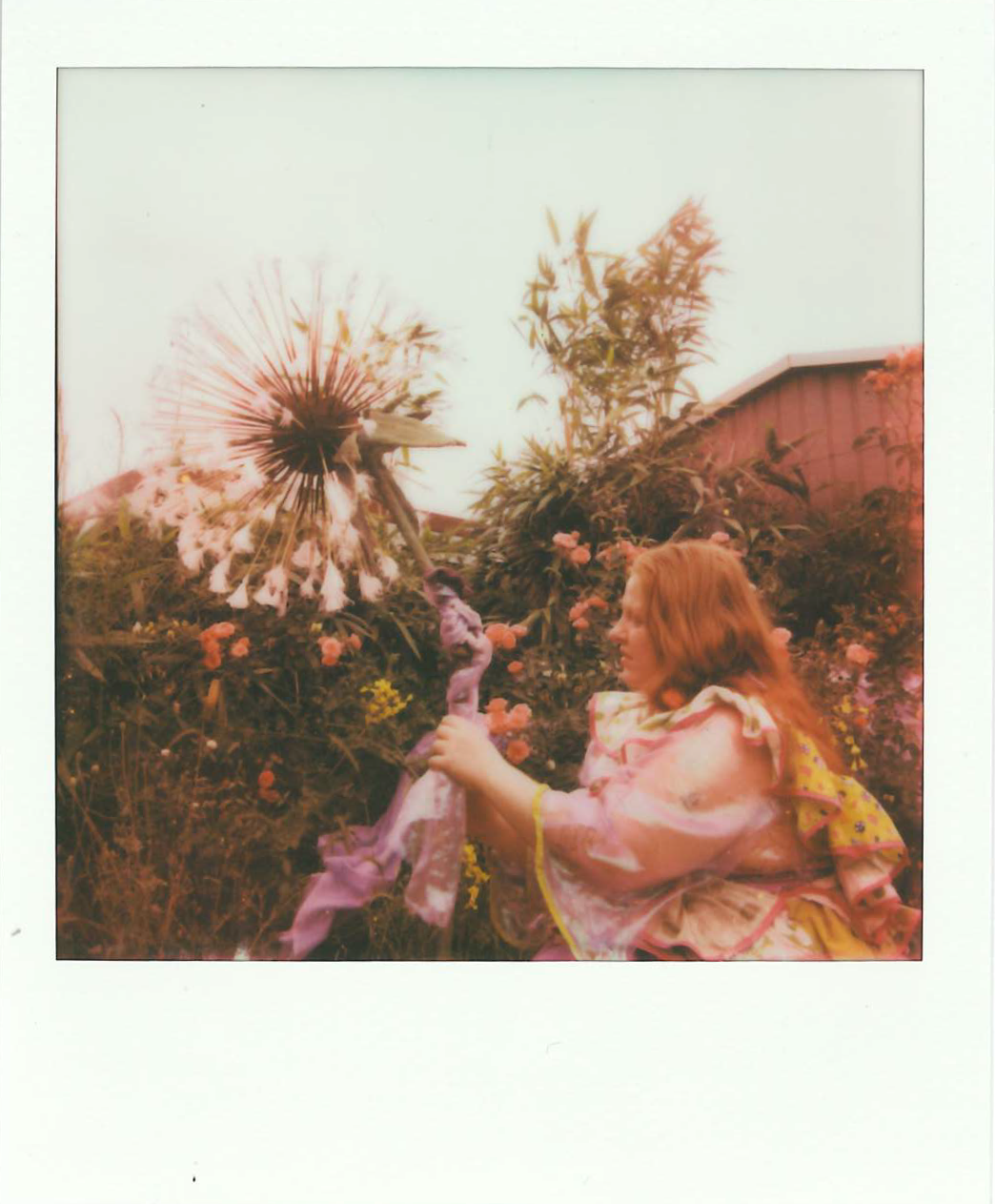 scan_1901032_2026-06-02-11-18-54.png