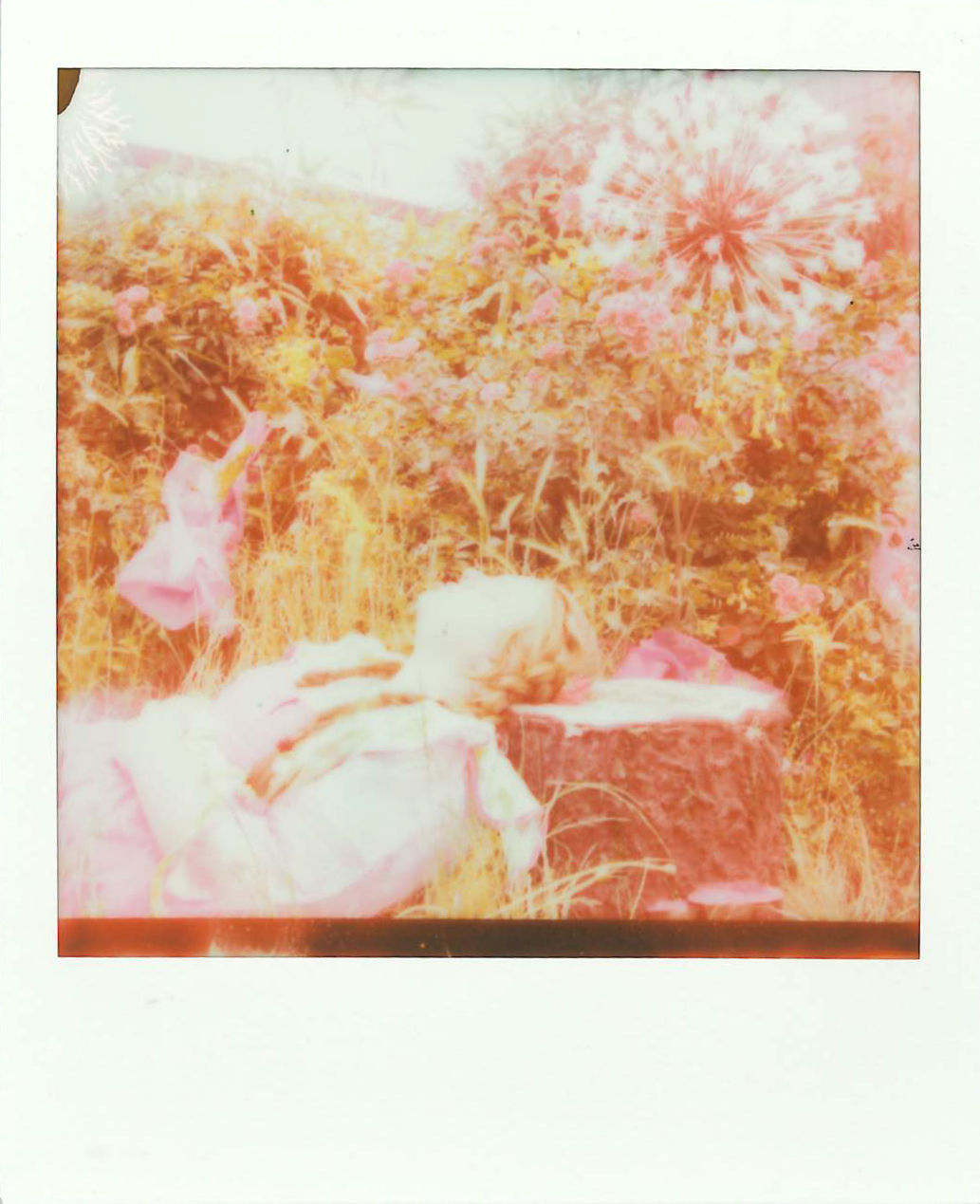 scan_1901032_2026-06-02-11-18-544.png