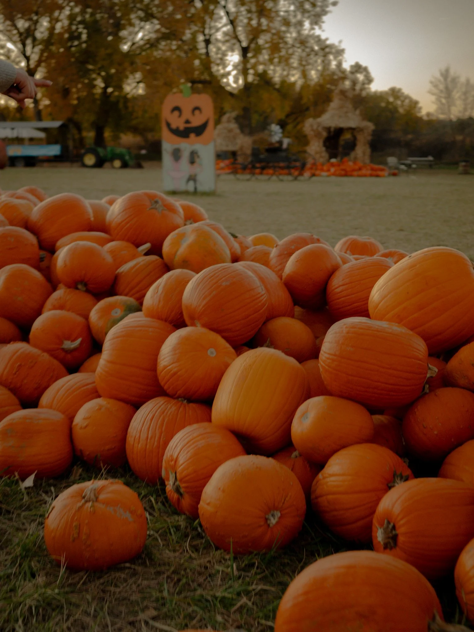 PUMPKIN.jpeg-02.jpg