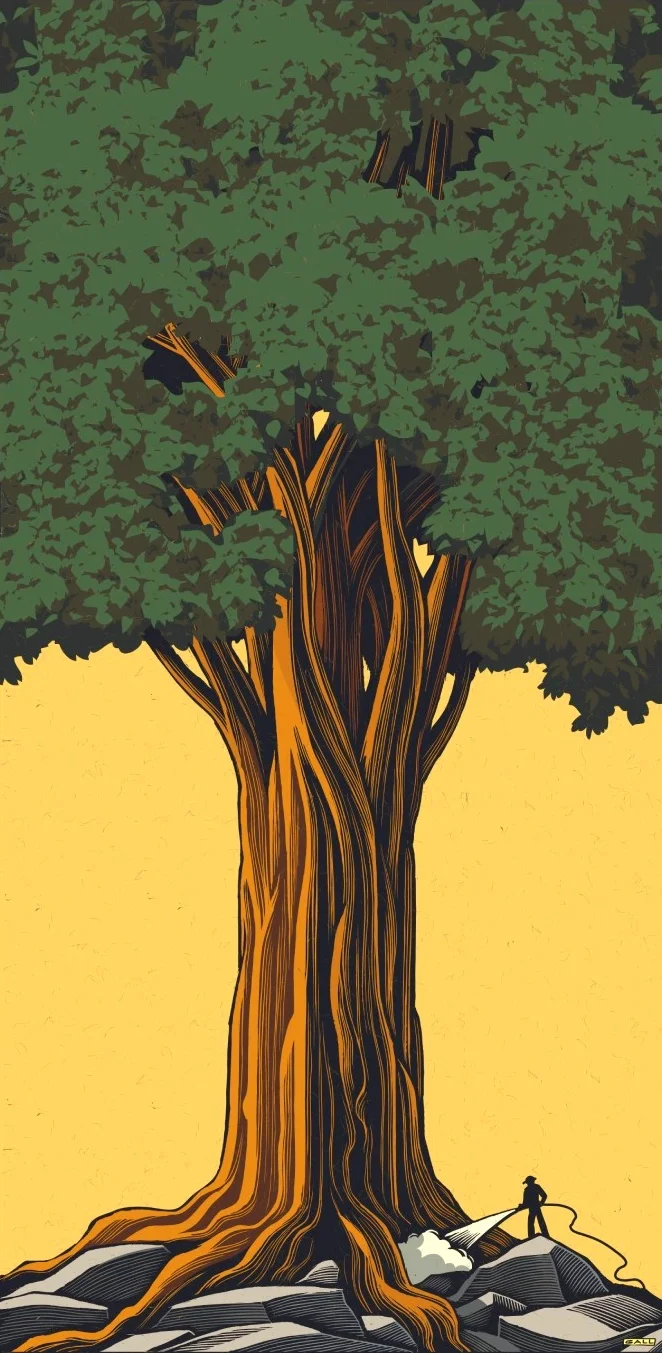 Illustration of a huge tree with animated leaves falling and a farm worker at its base watering the roots.