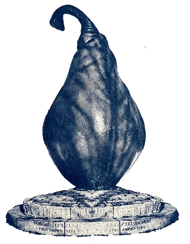 Illustration of a statue of a giant pear, a Dorchester landmark.