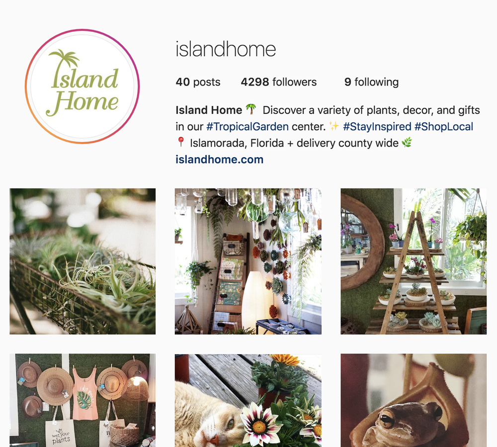IslandHome_10.png