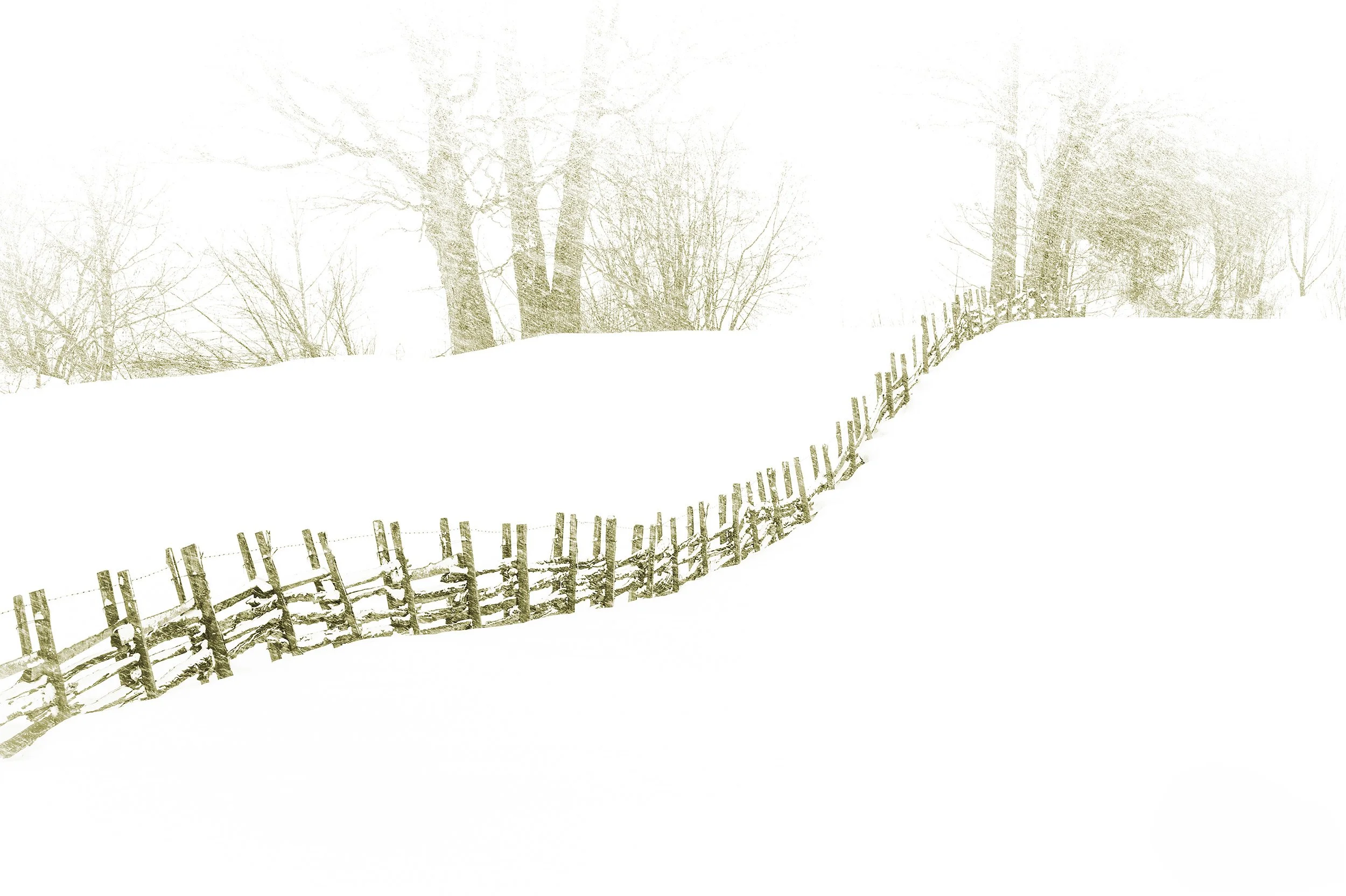 Clôture sur Blanc