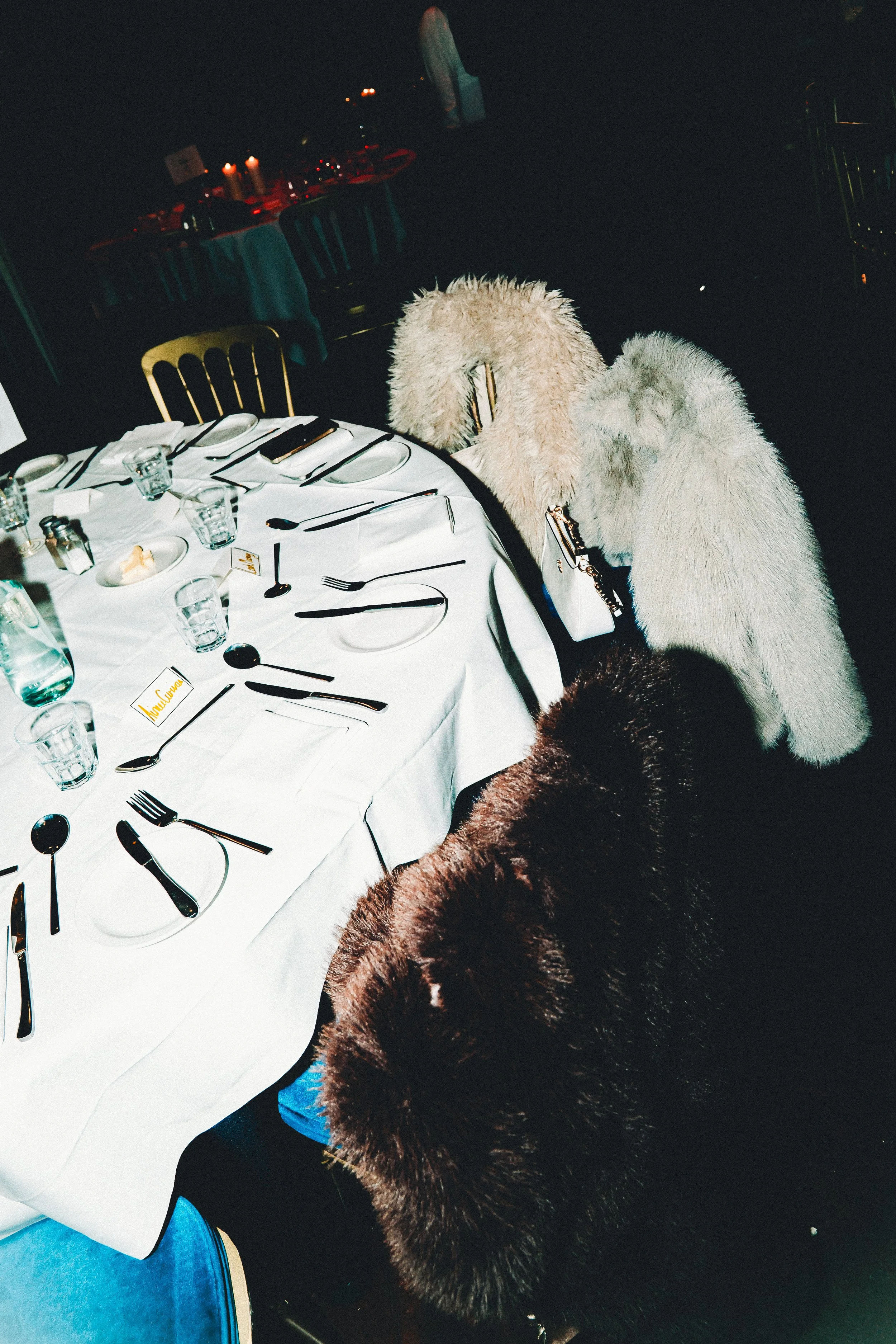 A banquet table decorated for a special event with candles and flowers, and four fuzzy dogs with dark, light, and brown fur standing near the table.